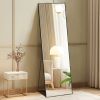 64"x21" Full Body Wall Mirror Standing Hanging or Leaning Wall-Mounted Mirrors with Stand Aluminum Alloy Frame Living Room